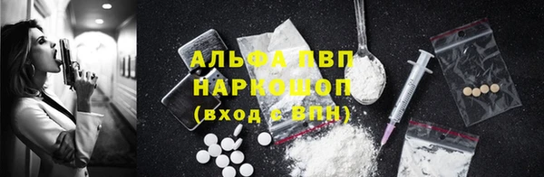 spice Вяземский