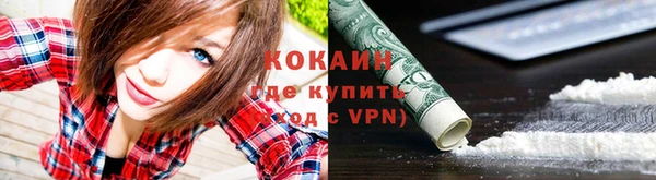 spice Вяземский