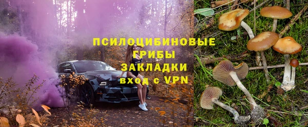 spice Вяземский
