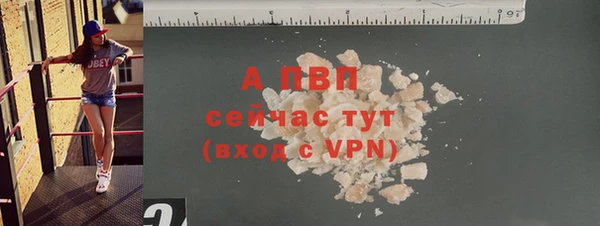 ECSTASY Вязьма