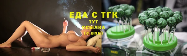 spice Вяземский