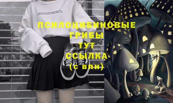 spice Вяземский