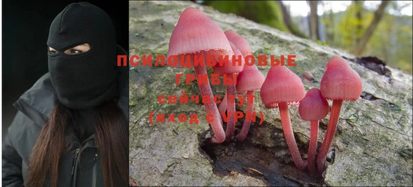 ECSTASY Вязьма