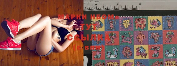 spice Вяземский
