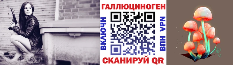 Купить закладки  Пошехонье  Псилоцибиновые грибы Magic Shrooms 